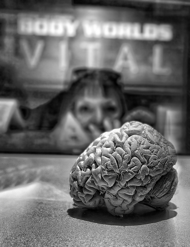 My brain made me do it: will neuroscience change the way we punish criminals?