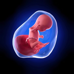 shutterstock_312584114