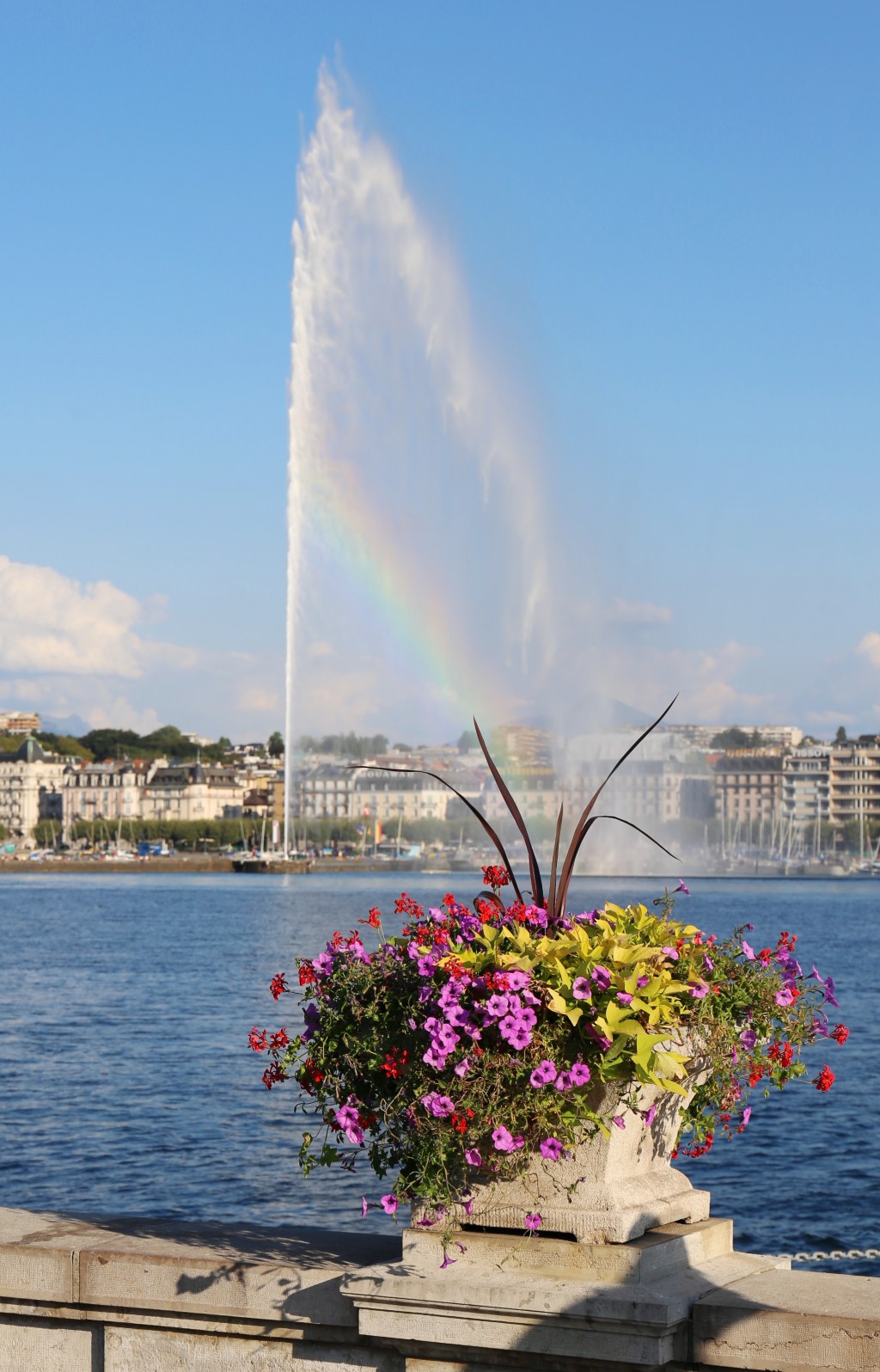 Prospects for the World Health Assembly’s pandemic&nbsp;instrument