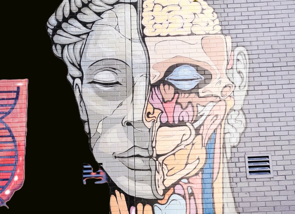 Tracing Australia’s vaping controls back to source