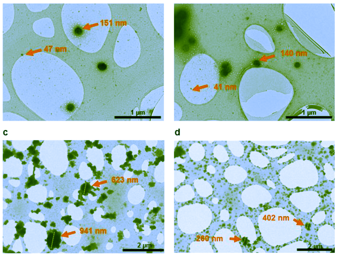 Navigating the ‘regulatory quagmire’ for extracellular vesicle therapies in Australia